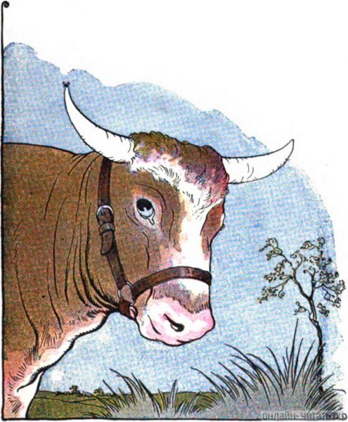 Муха и бык басня Дмитриева