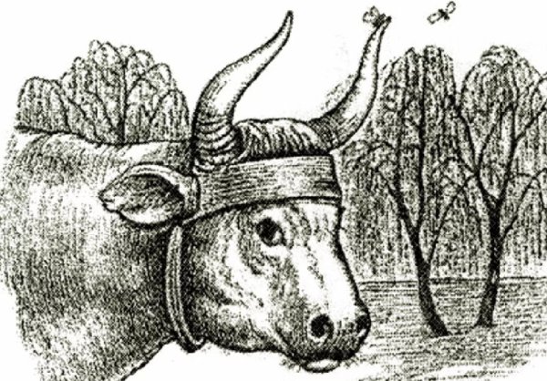 Иллюстрация к басне Муха Ивана Ивановича Дмитриева