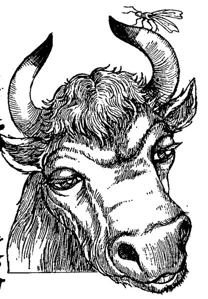 Иван Иванович Дмитриев Муха