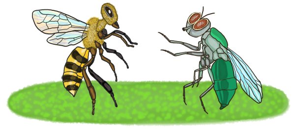 Иван Иванович Дмитриев басня Муха