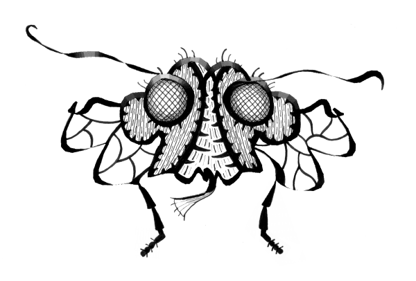 Мошка скетч