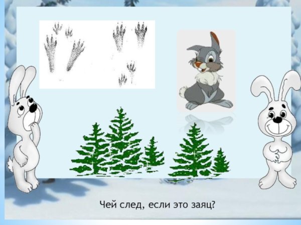 Следы зайца для дошкольников