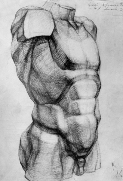 Экорше Гудона торс построение