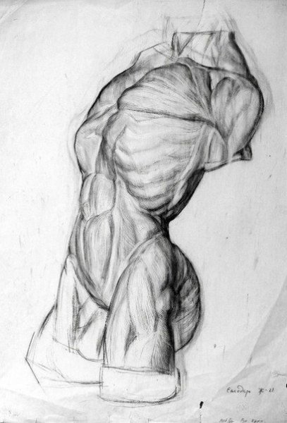 Экорше Гудона торс