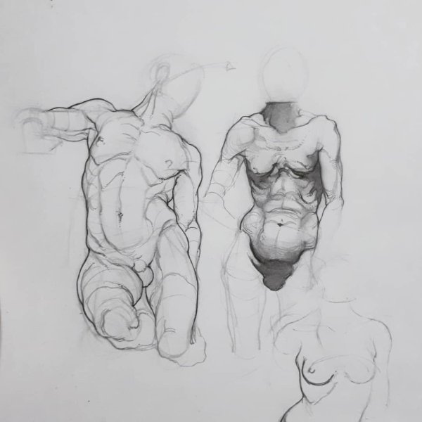 Экорше анатомия