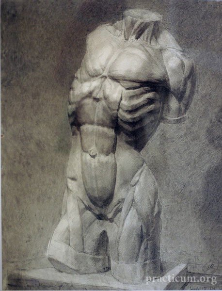 Анатомия Строгановка