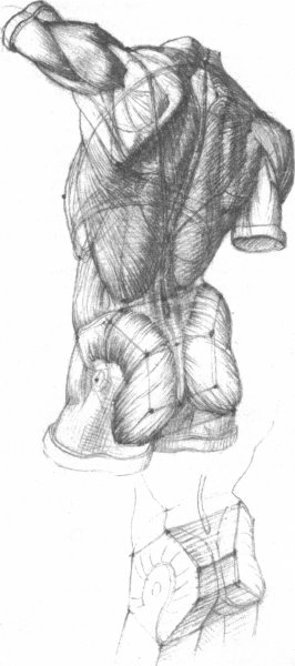 Экорше Гудона спина