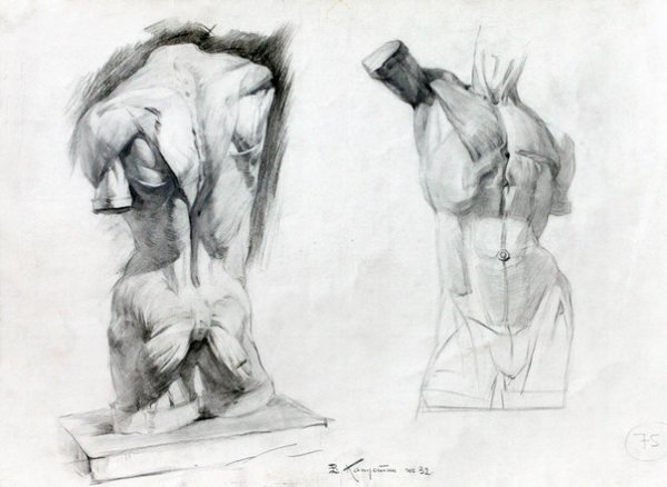 Анатомия Баммес ли