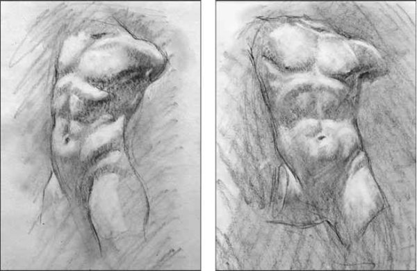 Баммес анатомия грудная клетка