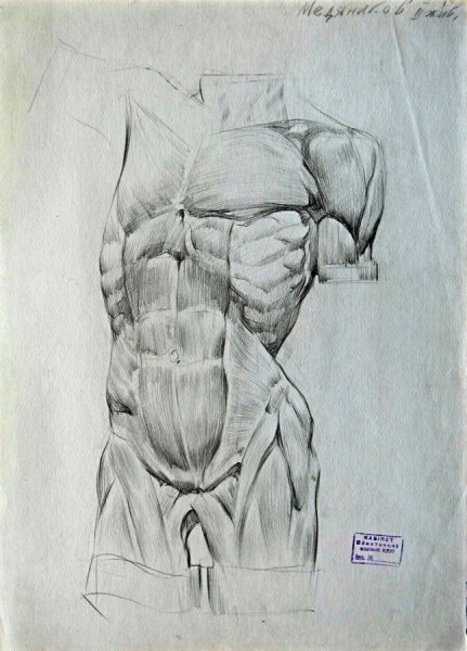 Торс арт рисование академическое