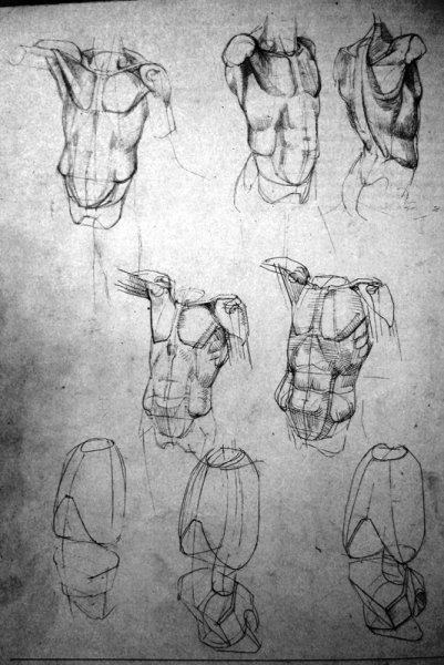 Экорше Строгановка