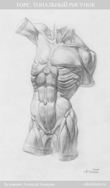 Экорше Гудона тело