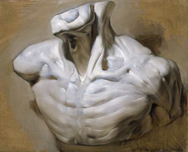 Зарисовки плечевого пояса