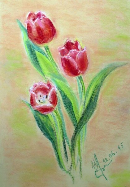 Раскраска клумба с тюльпанами