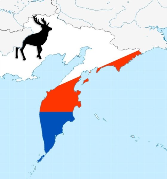 Флаг дальнего Востока