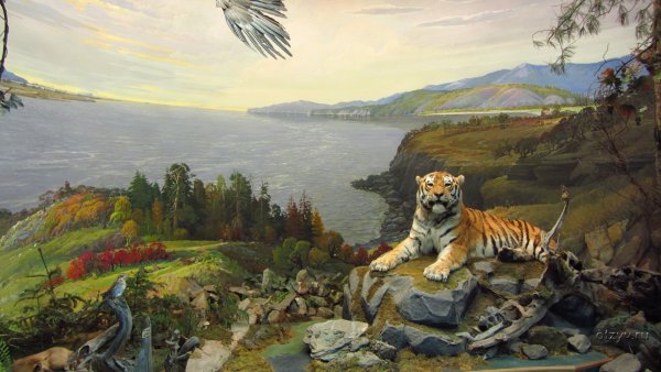 Дальний Восток картины