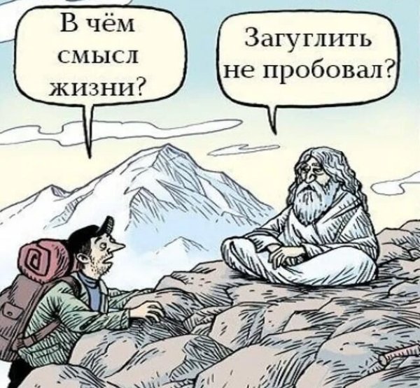 Смысл жизни прикол