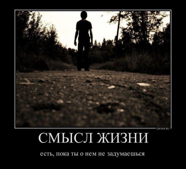 О смысле жизни