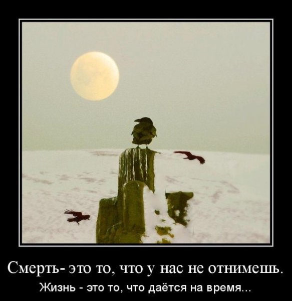 Демотиваторы про жизнь и смерть