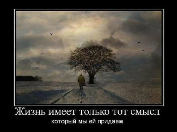 Жизненные картины со смыслом