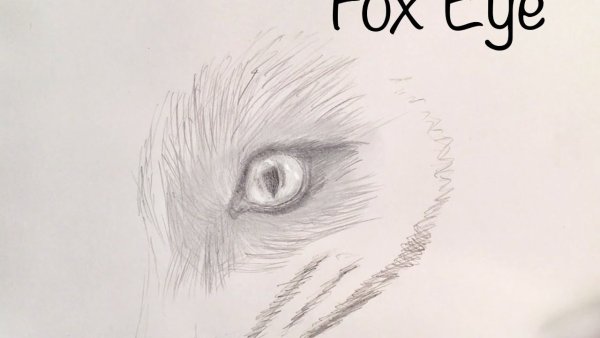 Глаза лисы карандашом