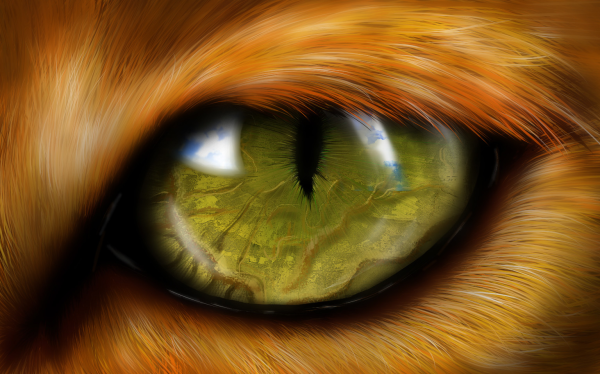 Лисы с зелеными глазами