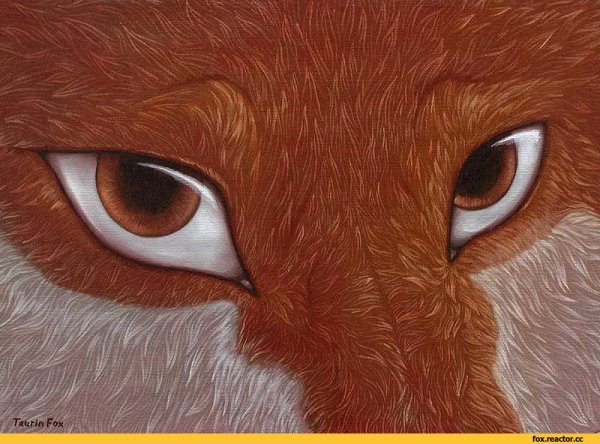 Таурин Фокс фурри