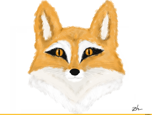 Глаза лисы нарисованные