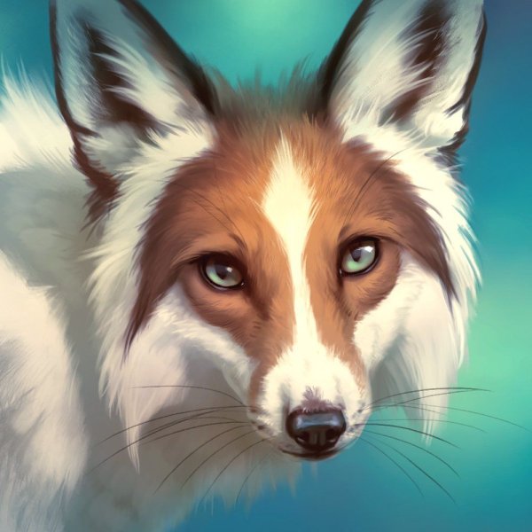Лисьи глаза арт