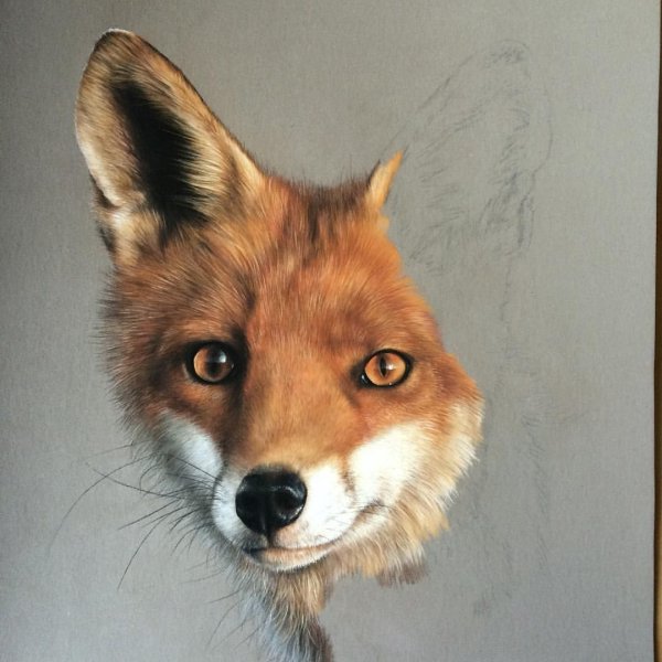 Лиса пастелью