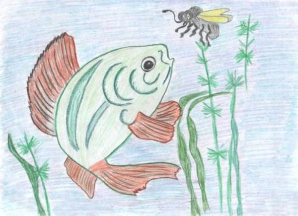 Бианки хвосты иллюстрации