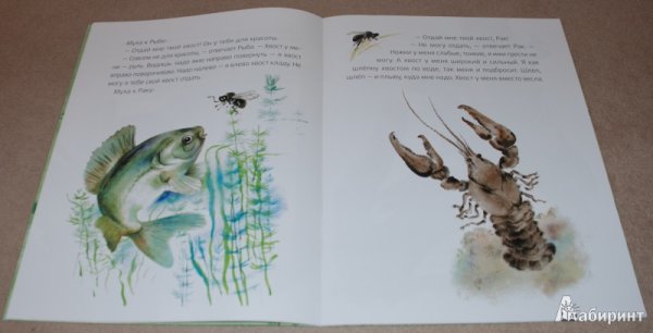 Рассказ хвосты Бианки