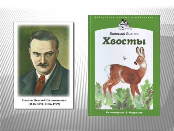 Книга хвосты Виталий Бианки