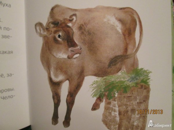 Виталий Бианки хвосты