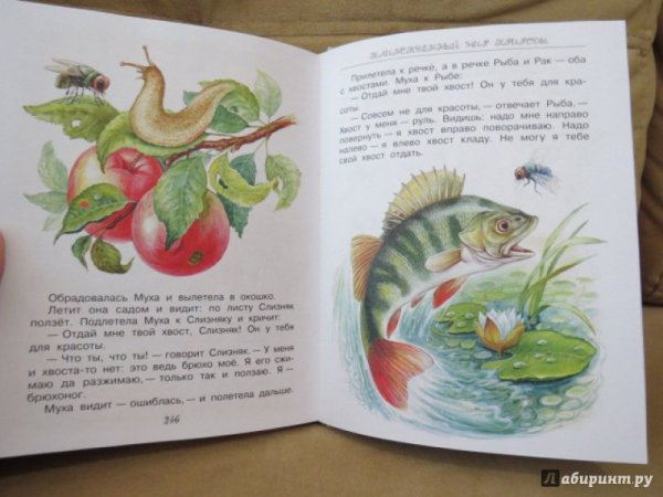 Иллюстрации к сказке Бианки хвосты книга