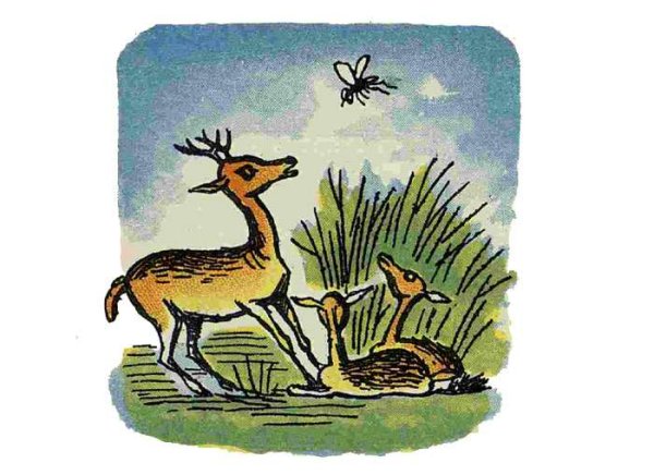 Виталий Бианки хвосты