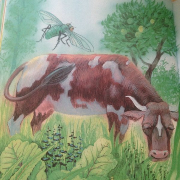 Сказка хвосты Бианки