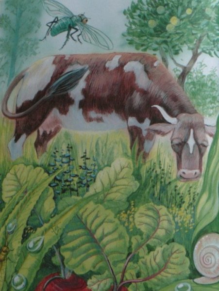 Виталий Бианки хвосты