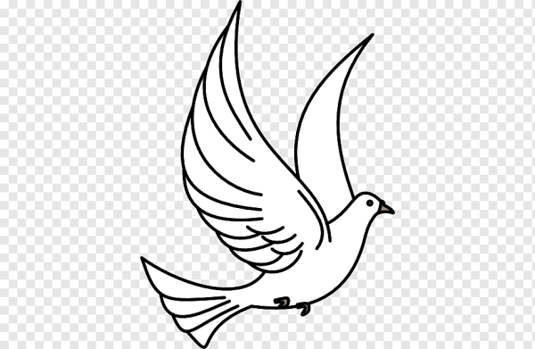Голубь рисунок