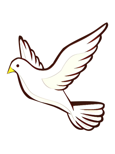 Белый голубь рисунок