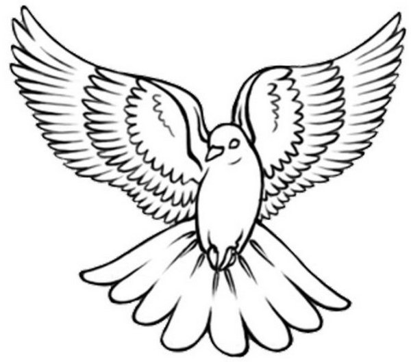 Голубь мира раскраска