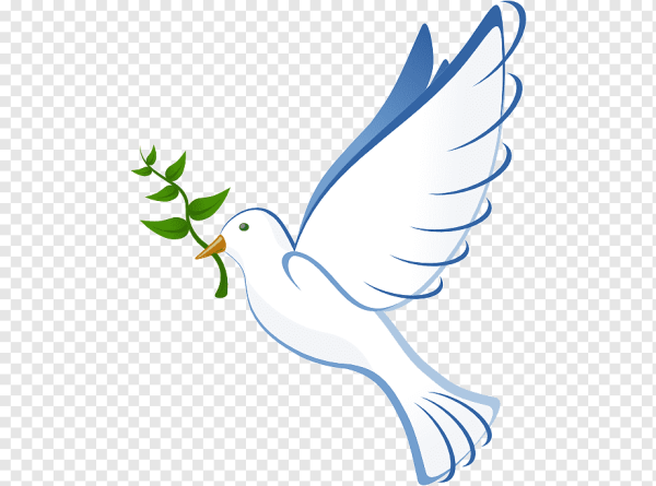 Голубь символ мира