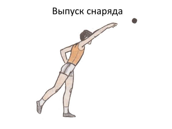 Метание мяча в цель