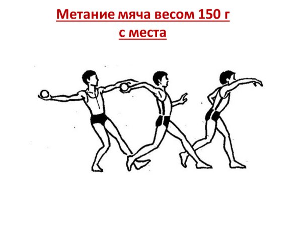 Метание мяча 150 грамм на дальность