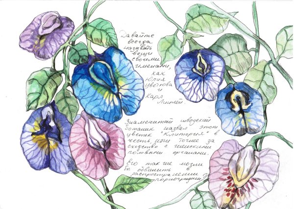 Художница из Комсомольска-на-Амуре Юлия Цветкова