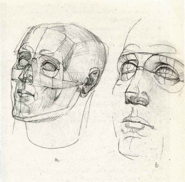 Готфрид Баммес анатомия головы