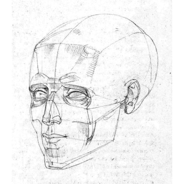 Готфрид Баммес голова