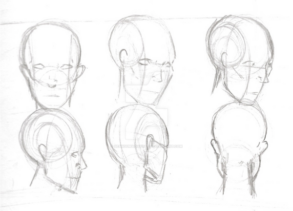 Анатомия головы для художников