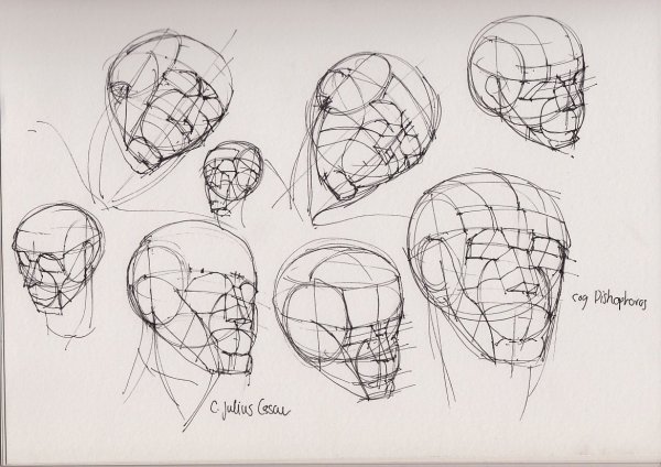 Схема построения головы