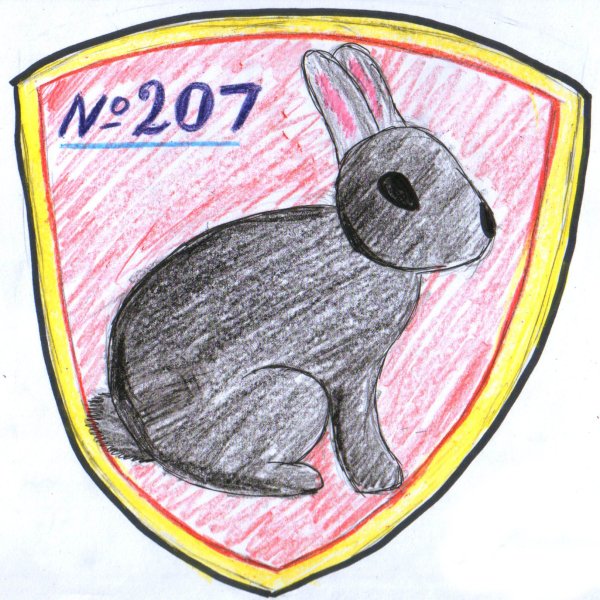 Спортивный талисман школы